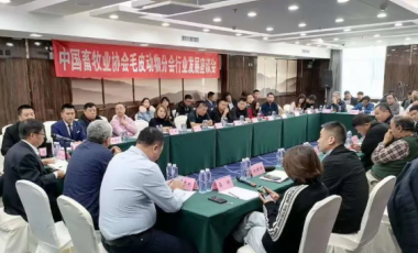 中国畜牧业协会毛皮动物分会召开2020年度产业发展座谈会